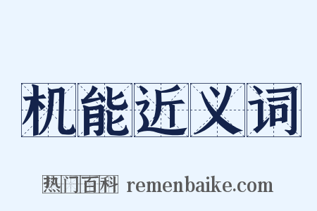 机能近义词是什么意思的图片